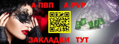 твердый Кингисепп