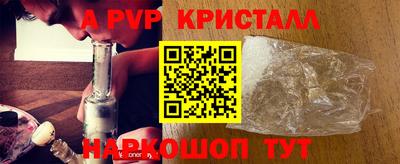 твердый Кингисепп