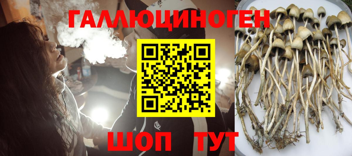 Валуйки  Псилоцибиновые грибы Psilocybine cubensis  Вход с VPN 