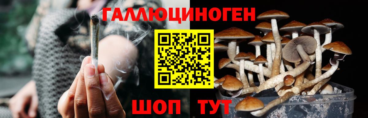 Псилоцибиновые грибы мицелий Валуйки